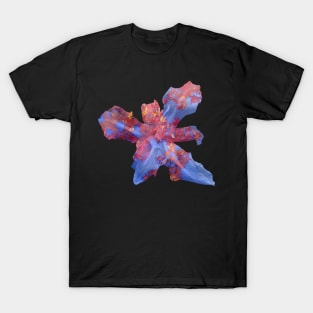 Fall sky flower T-Shirt